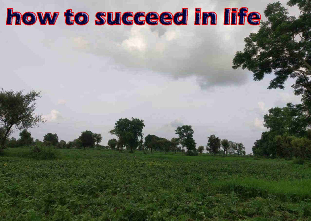 how to succeed in life